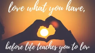 love what you have, before life teaches you to love - tymoff