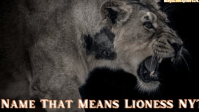 name that means lioness nyt